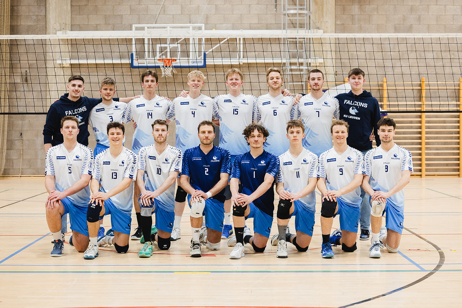 KU Leuven Falcons* Volleybal heren