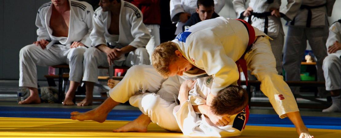 Judo banner